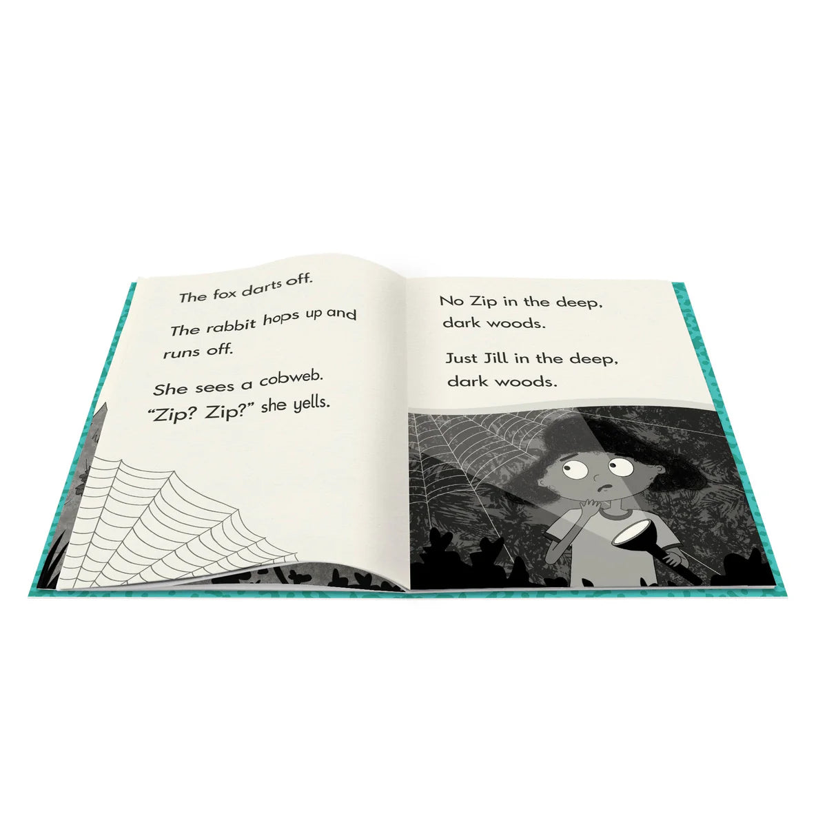 Decodable Chapter Books - Boxed Set - 6 Books/12 stories