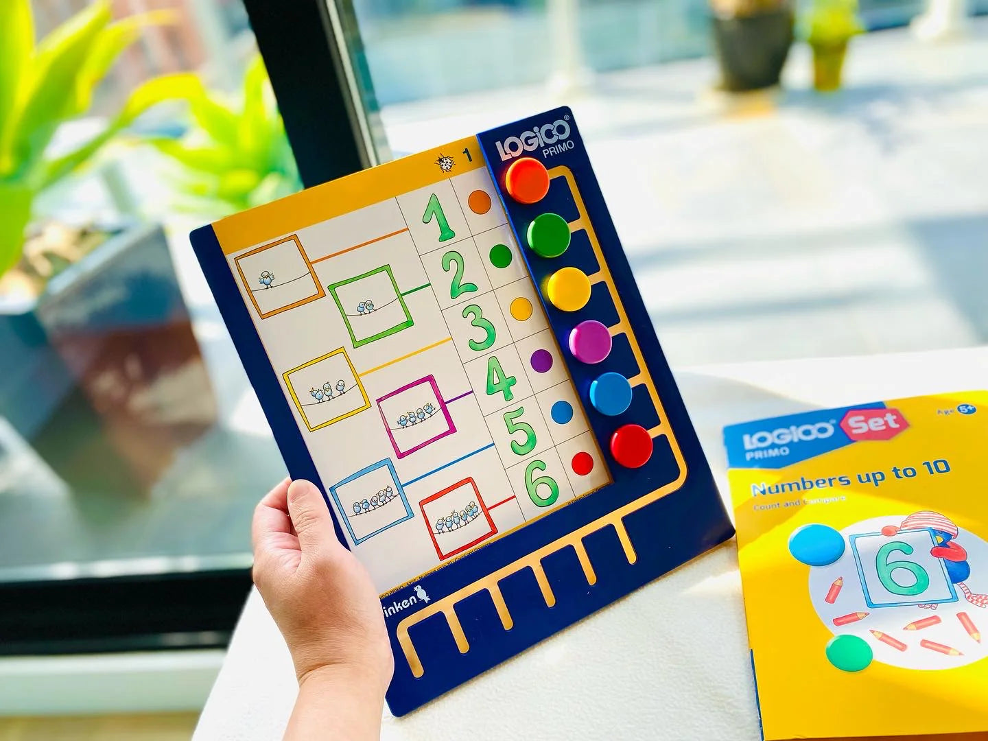 LOGICO Primo Full Package 10 new environmentally friendly titles