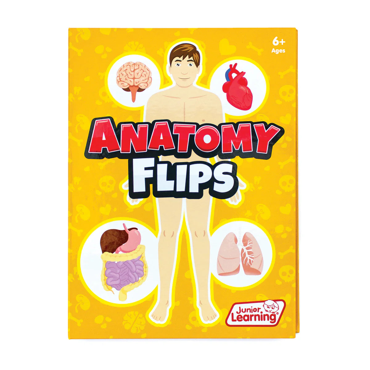 Anatomy Flips by Junior Learning