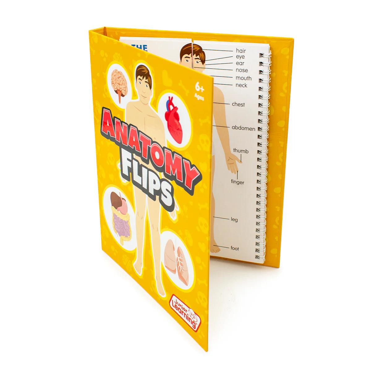 Anatomy Flips by Junior Learning