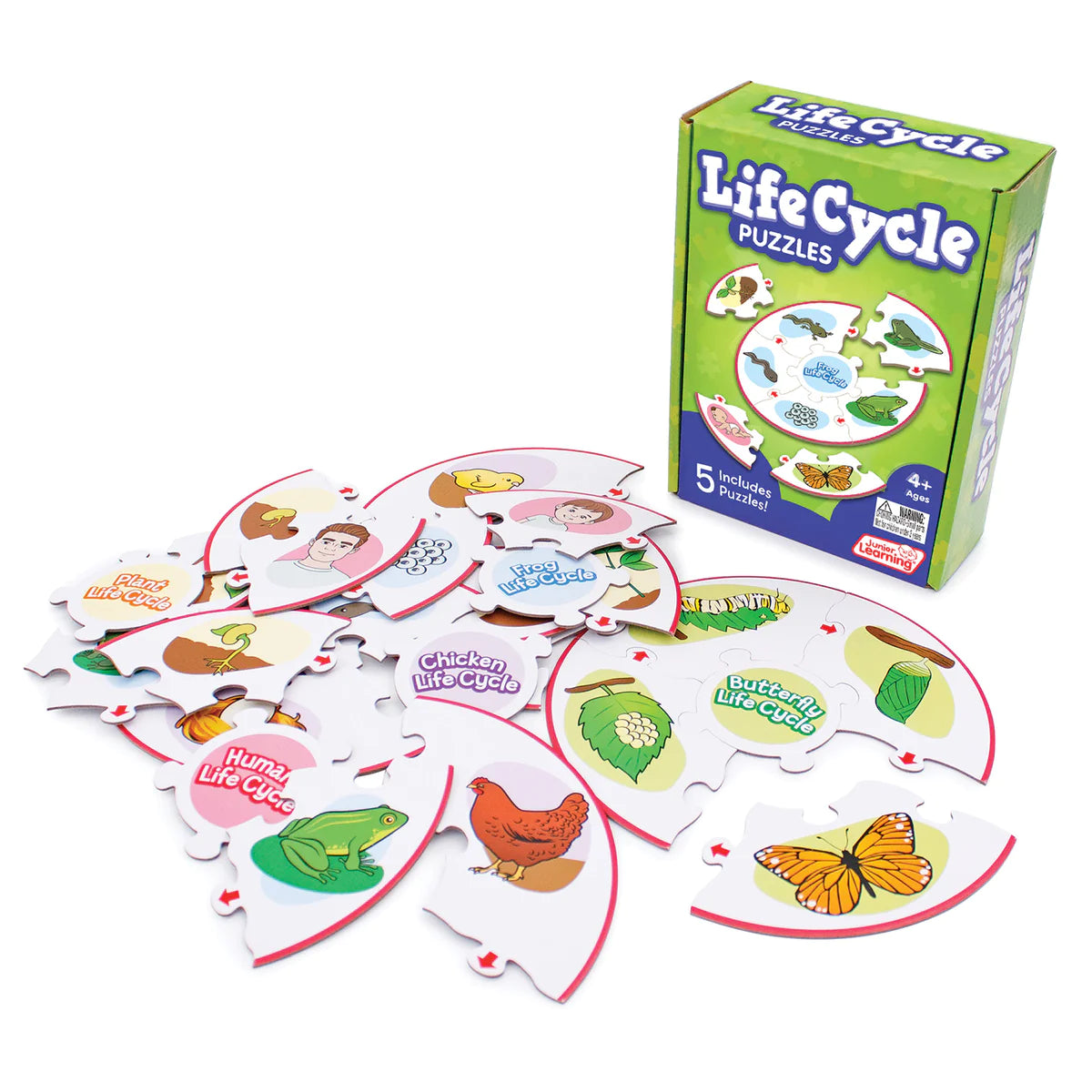 Life Cycle Puzzles by Junior Learning