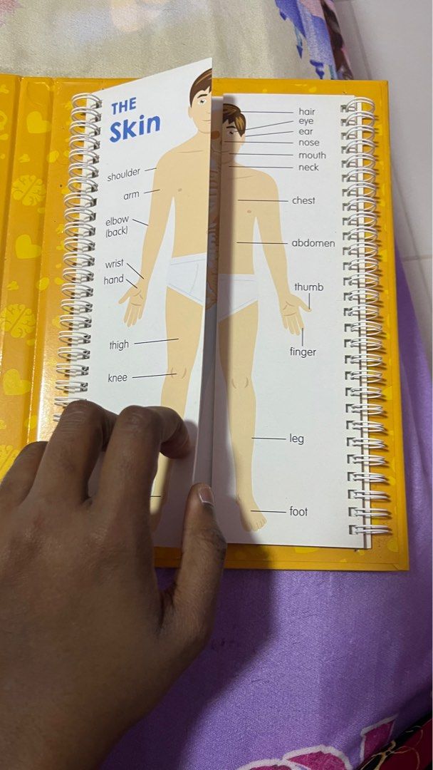 Anatomy Flips by Junior Learning