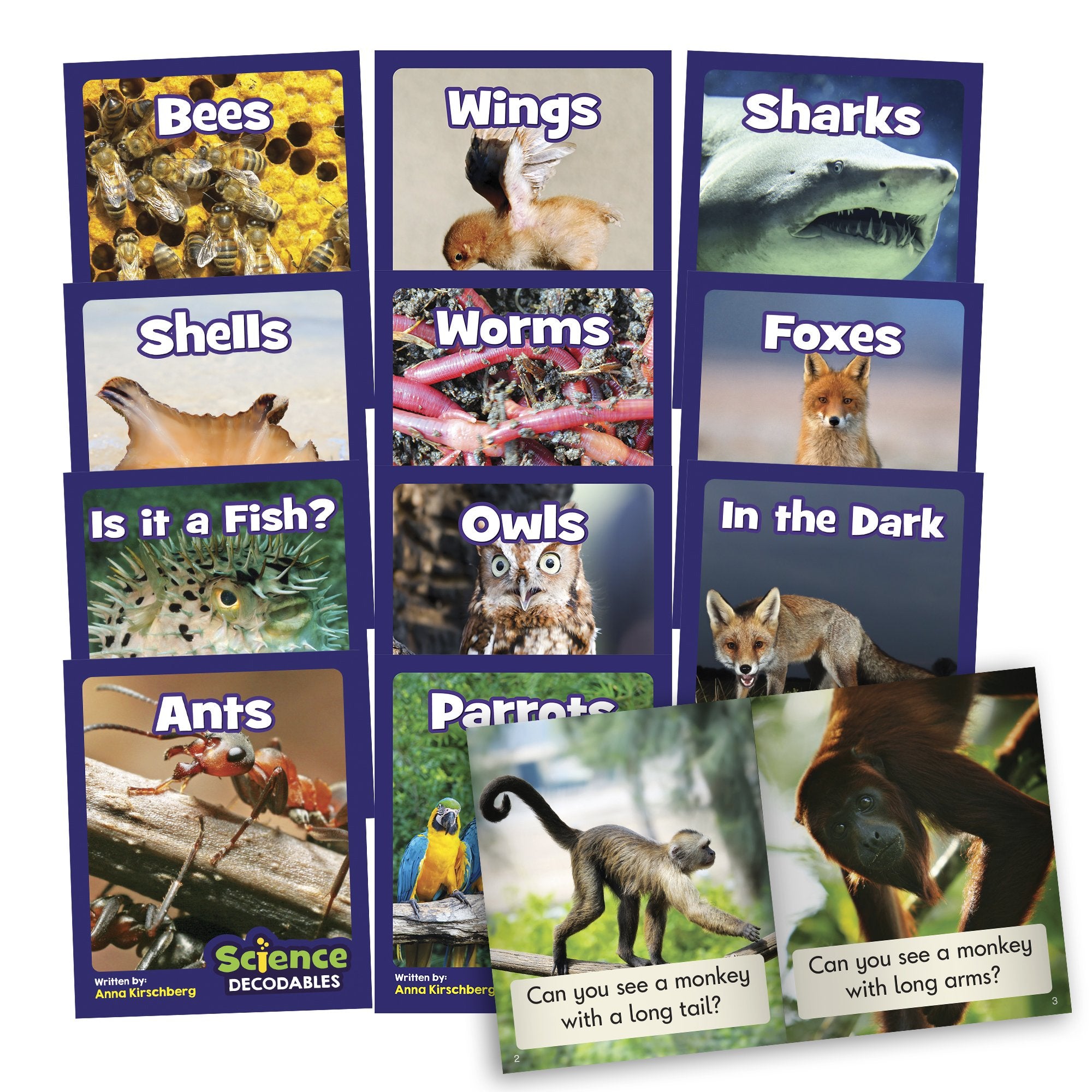 12 Decodable Readers - Phase 3 - Phonics - NON FICTION Books by Junior Learning