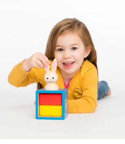 Bunny Peek a Boo by Smart Games -2 to 4 yrs