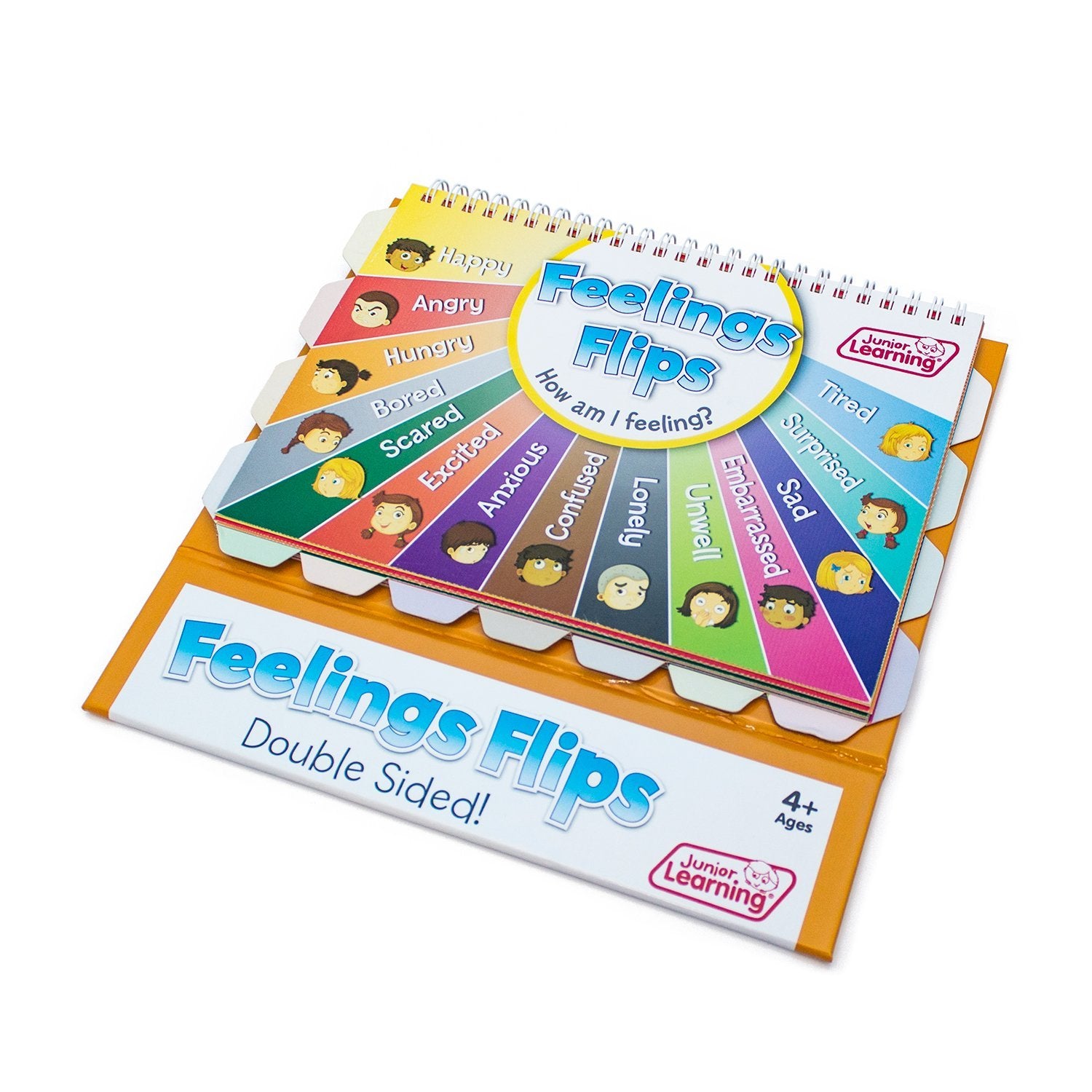 Feelings and Emotions Flip Chart by Junior Learning