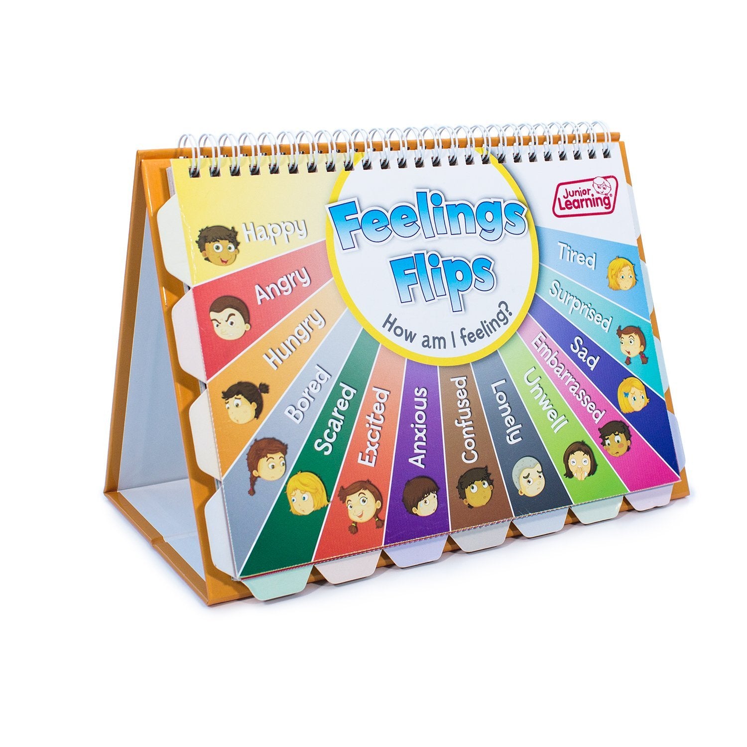 Feelings and Emotions Flip Chart by Junior Learning
