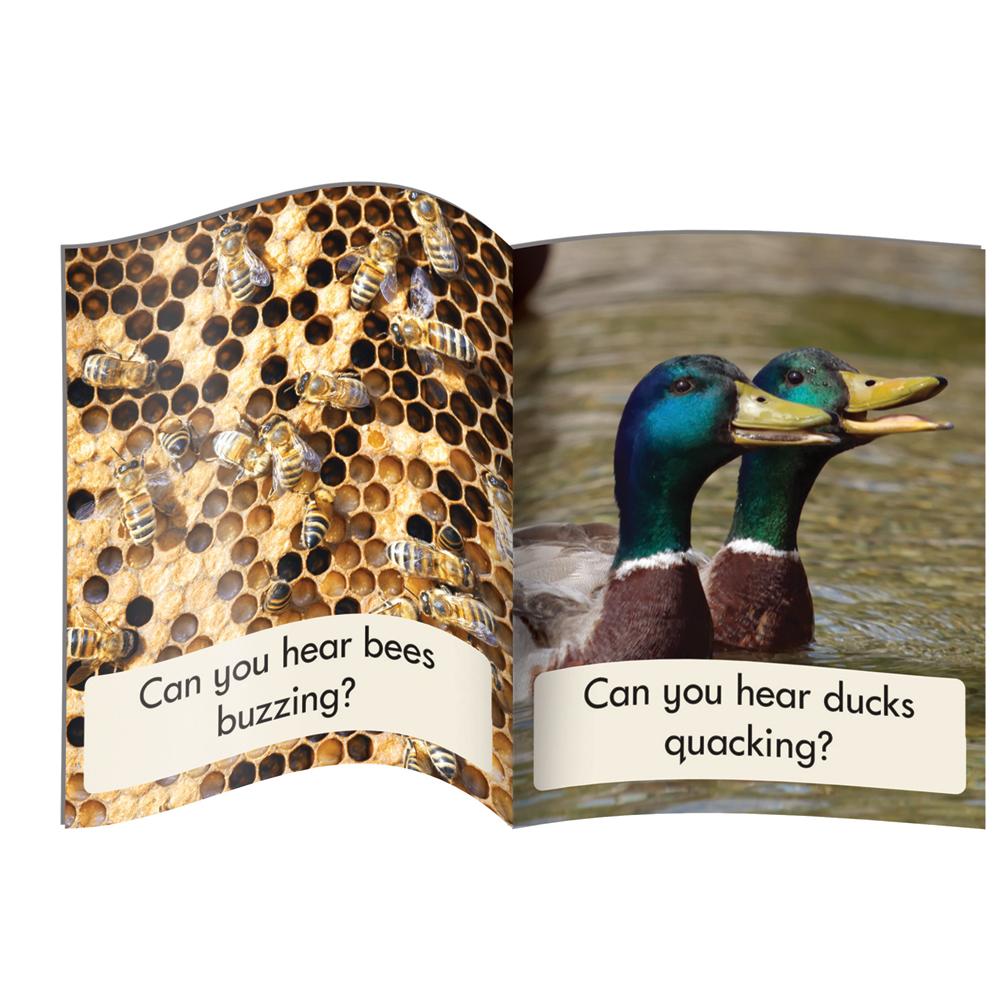 12 Decodable Readers - Phase 3 - Phonics - NON FICTION Books by Junior Learning