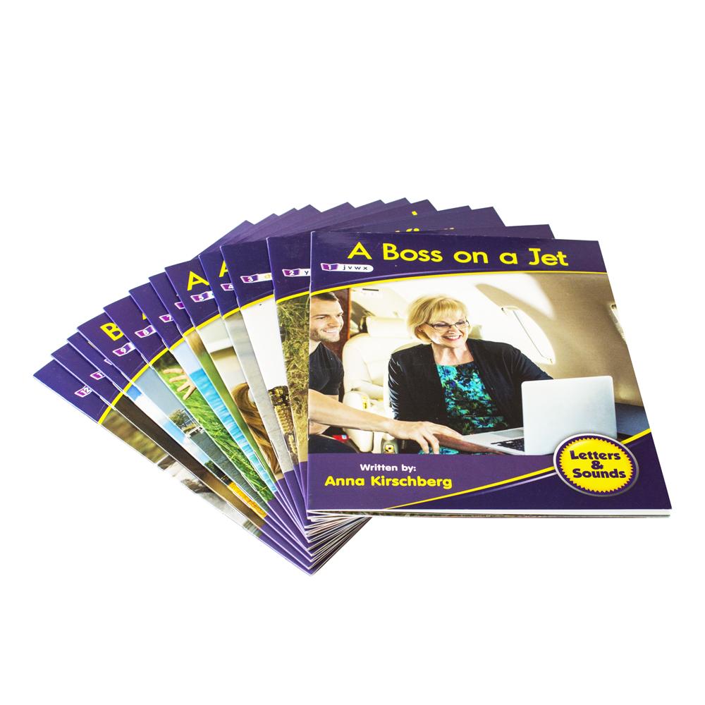 12 Decodable Readers - Phase 3 - Phonics - NON FICTION Books by Junior Learning