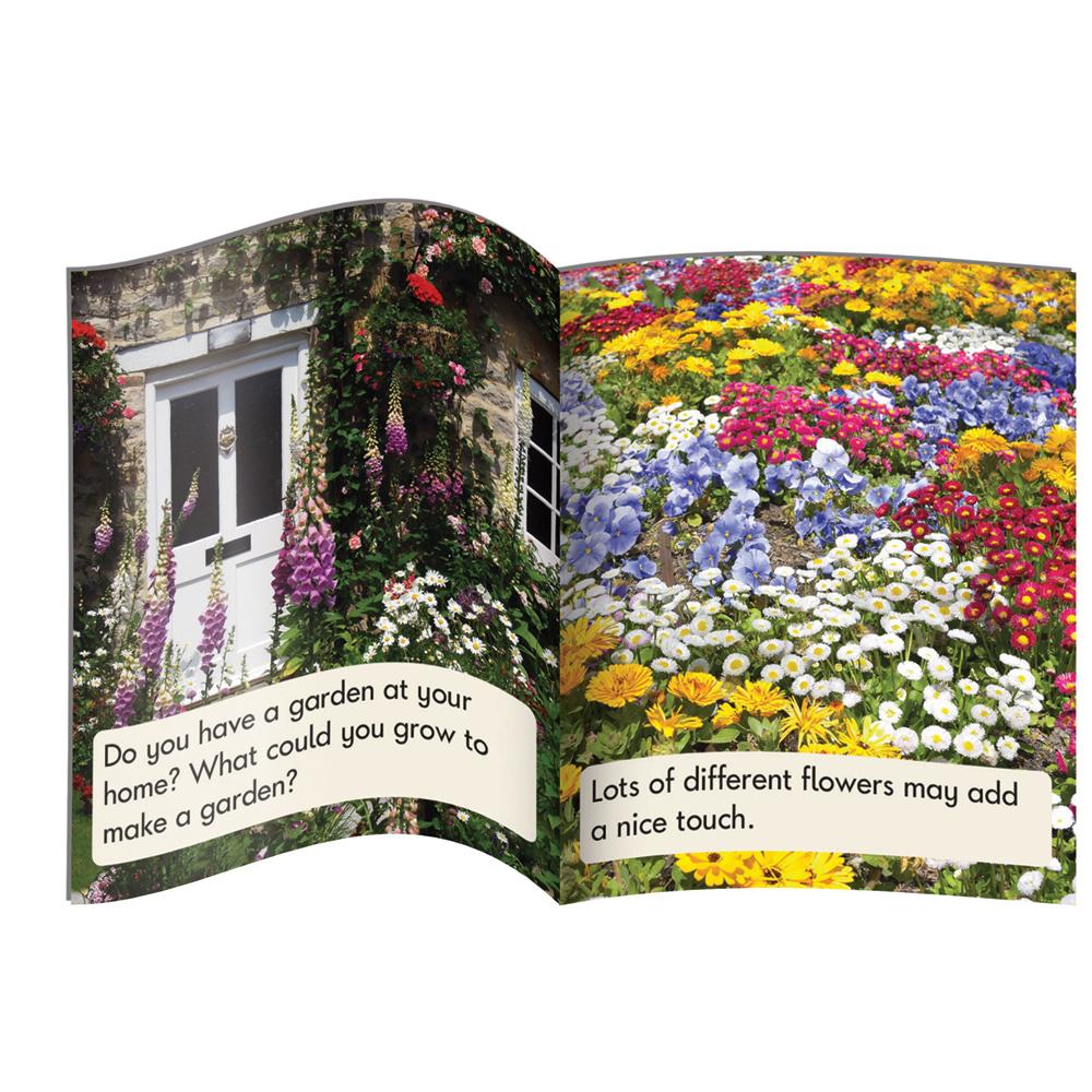 12 Decodable Readers - Phase 5 - Vowel Sounds - NON FICTION Books - By Junior Learning