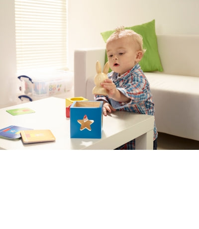 Bunny Peek a Boo by Smart Games -2 to 4 yrs